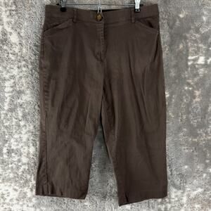 Counterparts Size 14 Cropped Minimalist Flat Front Casual Pants Brown Button Zip